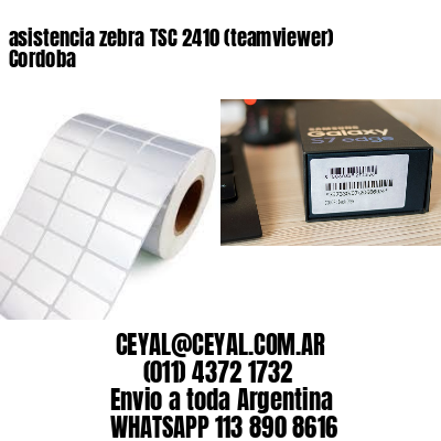asistencia zebra TSC 2410 (teamviewer)  Cordoba