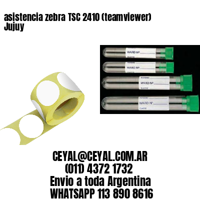 asistencia zebra TSC 2410 (teamviewer)  Jujuy