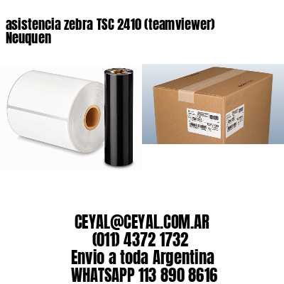 asistencia zebra TSC 2410 (teamviewer)  Neuquen