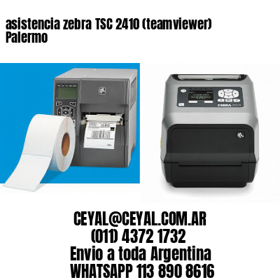asistencia zebra TSC 2410 (teamviewer)  Palermo