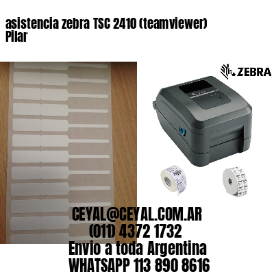 asistencia zebra TSC 2410 (teamviewer)  Pilar