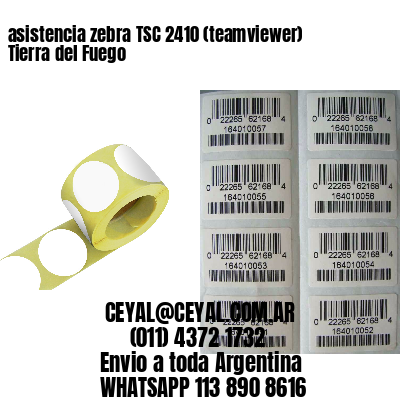 asistencia zebra TSC 2410 (teamviewer)  Tierra del Fuego