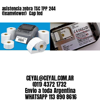 asistencia zebra TSC TPP 244 (teamviewer)  Cap fed