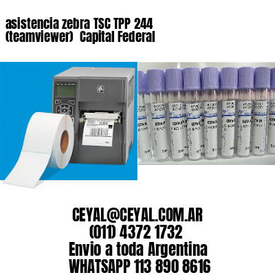asistencia zebra TSC TPP 244 (teamviewer)  Capital Federal
