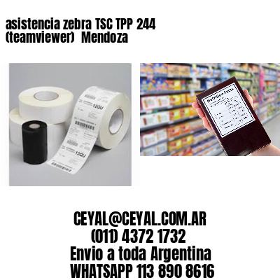 asistencia zebra TSC TPP 244 (teamviewer)  Mendoza