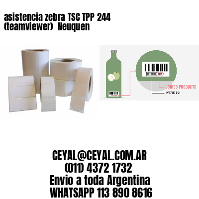 asistencia zebra TSC TPP 244 (teamviewer)  Neuquen