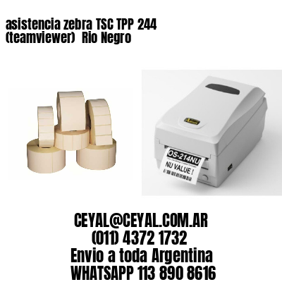 asistencia zebra TSC TPP 244 (teamviewer)  Rio Negro