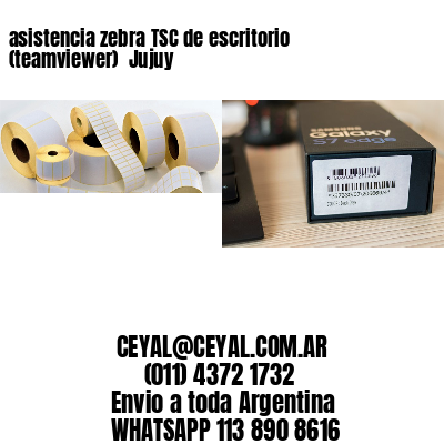 asistencia zebra TSC de escritorio (teamviewer)  Jujuy