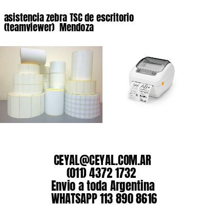 asistencia zebra TSC de escritorio (teamviewer)  Mendoza