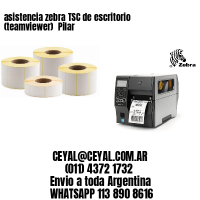asistencia zebra TSC de escritorio (teamviewer)  Pilar