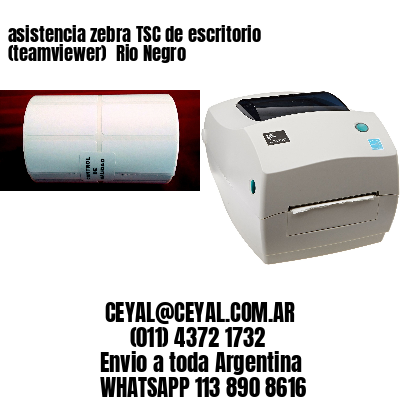 asistencia zebra TSC de escritorio (teamviewer)  Rio Negro