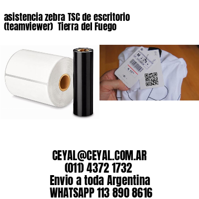 asistencia zebra TSC de escritorio (teamviewer)  Tierra del Fuego