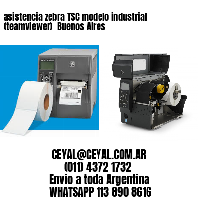 asistencia zebra TSC modelo industrial (teamviewer)  Buenos Aires