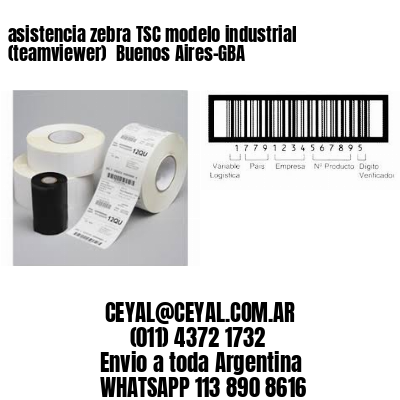 asistencia zebra TSC modelo industrial (teamviewer)  Buenos Aires-GBA