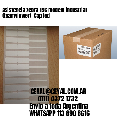asistencia zebra TSC modelo industrial (teamviewer)  Cap fed