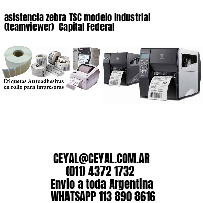 asistencia zebra TSC modelo industrial (teamviewer)  Capital Federal