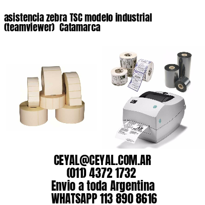 asistencia zebra TSC modelo industrial (teamviewer)  Catamarca