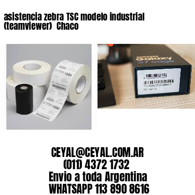 asistencia zebra TSC modelo industrial (teamviewer)  Chaco