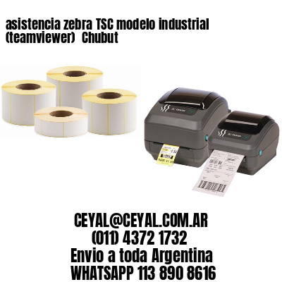 asistencia zebra TSC modelo industrial (teamviewer)  Chubut