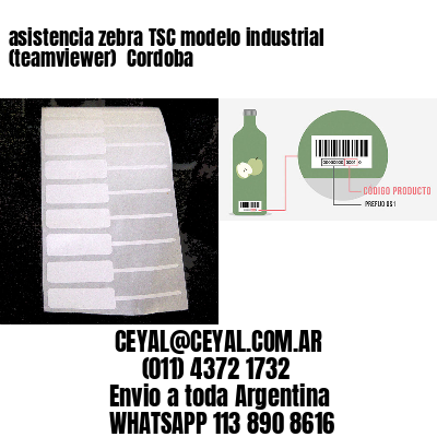asistencia zebra TSC modelo industrial (teamviewer)  Cordoba