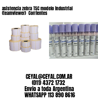 asistencia zebra TSC modelo industrial (teamviewer)  Corrientes