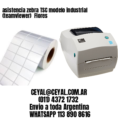 asistencia zebra TSC modelo industrial (teamviewer)  Flores