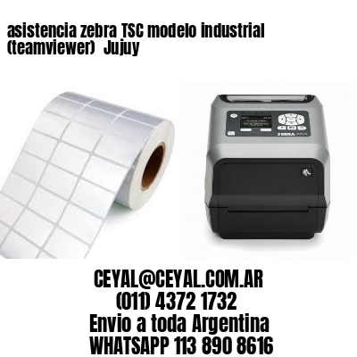 asistencia zebra TSC modelo industrial (teamviewer)  Jujuy