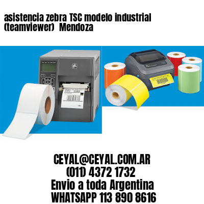 asistencia zebra TSC modelo industrial (teamviewer)  Mendoza