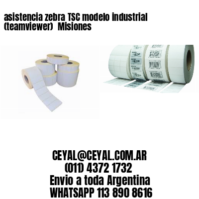 asistencia zebra TSC modelo industrial (teamviewer)  Misiones
