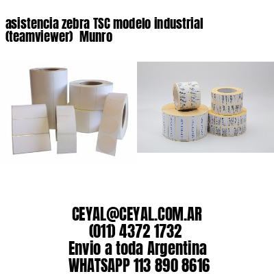 asistencia zebra TSC modelo industrial (teamviewer)  Munro