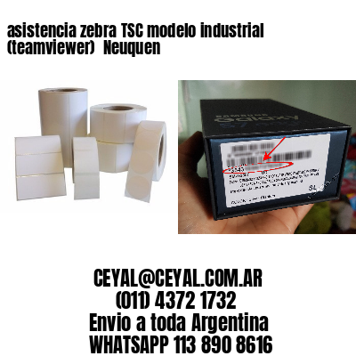 asistencia zebra TSC modelo industrial (teamviewer)  Neuquen