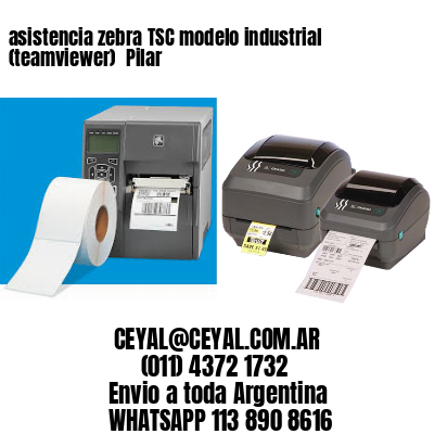 asistencia zebra TSC modelo industrial (teamviewer)  Pilar