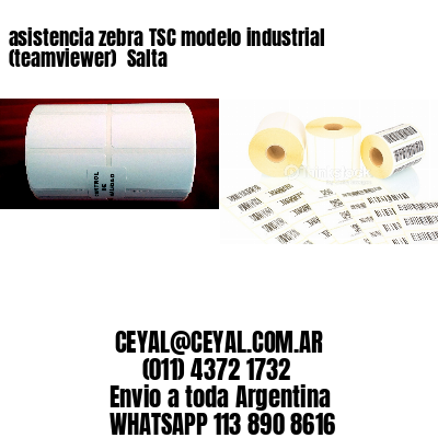 asistencia zebra TSC modelo industrial (teamviewer)  Salta