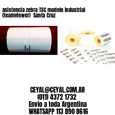 asistencia zebra TSC modelo industrial (teamviewer)  Santa Cruz