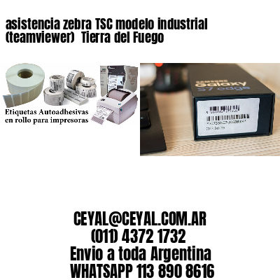 asistencia zebra TSC modelo industrial (teamviewer)  Tierra del Fuego
