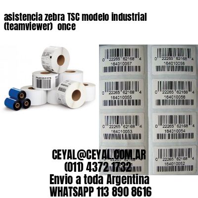 asistencia zebra TSC modelo industrial (teamviewer)  once