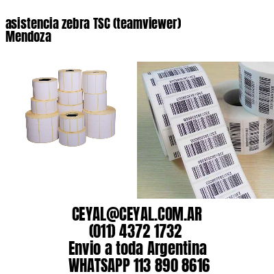 asistencia zebra TSC (teamviewer)  Mendoza