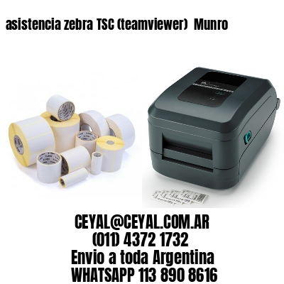 asistencia zebra TSC (teamviewer)  Munro