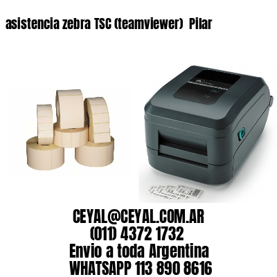 asistencia zebra TSC (teamviewer)  Pilar