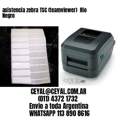 asistencia zebra TSC (teamviewer)  Rio Negro