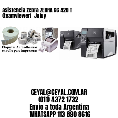 asistencia zebra ZEBRA GC 420 T (teamviewer)  Jujuy