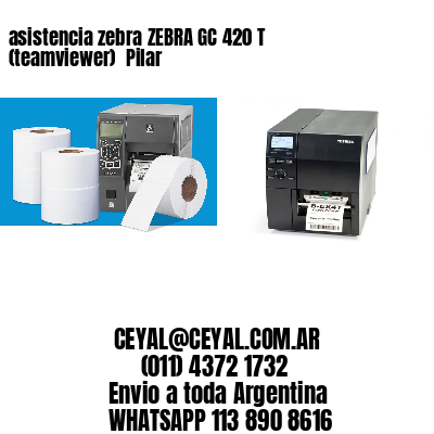 asistencia zebra ZEBRA GC 420 T (teamviewer)  Pilar