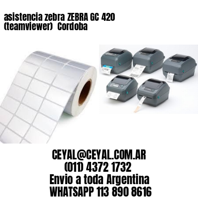 asistencia zebra ZEBRA GC 420 (teamviewer)  Cordoba