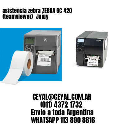 asistencia zebra ZEBRA GC 420 (teamviewer)  Jujuy