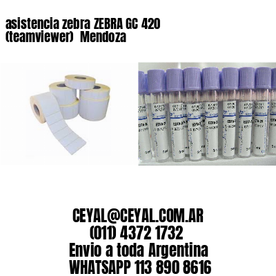asistencia zebra ZEBRA GC 420 (teamviewer)  Mendoza