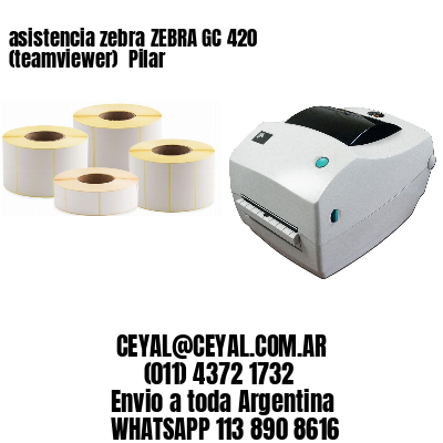 asistencia zebra ZEBRA GC 420 (teamviewer)  Pilar