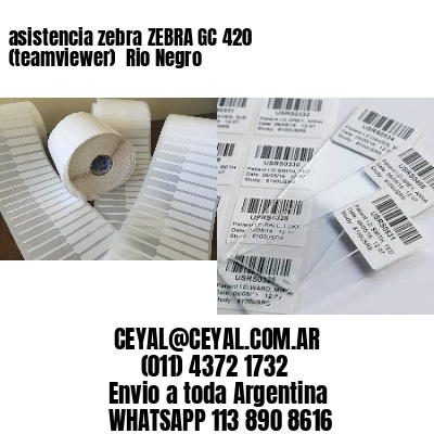 asistencia zebra ZEBRA GC 420 (teamviewer)  Rio Negro