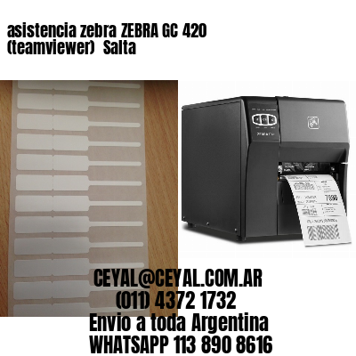 asistencia zebra ZEBRA GC 420 (teamviewer)  Salta