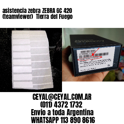 asistencia zebra ZEBRA GC 420 (teamviewer)  Tierra del Fuego
