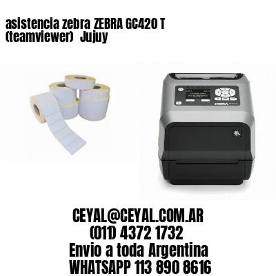 asistencia zebra ZEBRA GC420 T (teamviewer)  Jujuy